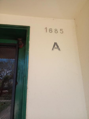La casita de Noema
